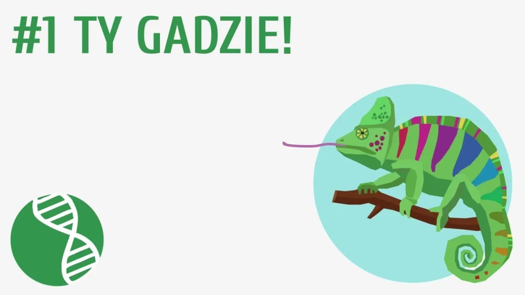 Jak rozmnażają się gady? Odkryj zaskakujące metody i strategie