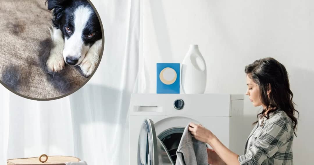Jak pozbyć się sierści z ubrań podczas prania i uniknąć frustracji