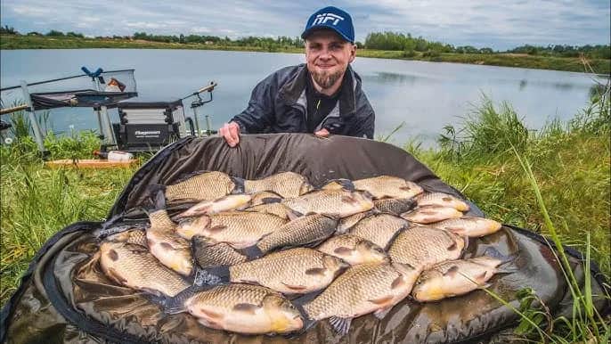 Jak rozmnażają się karasie? Odkryj sekrety ich tarła i hodowli